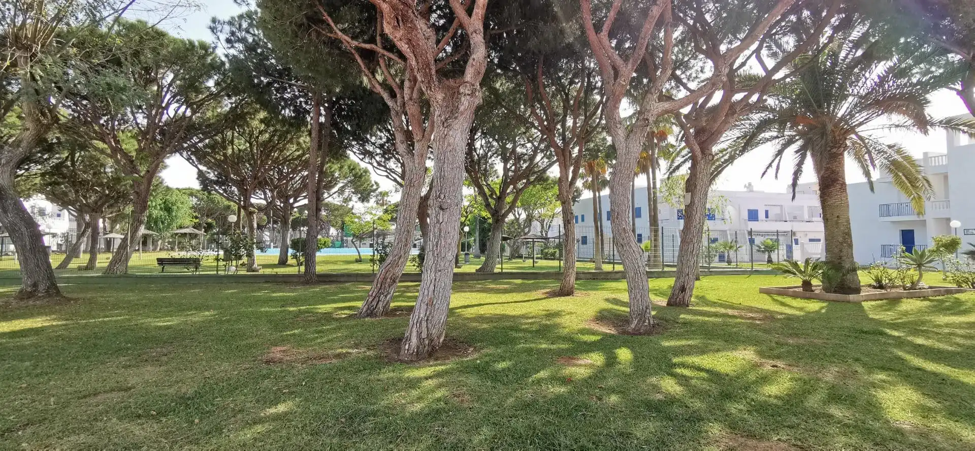 Vista exterior de Apartament en venda en Chiclana de la Frontera amb Terrassa, Moblat i Piscina comunitària