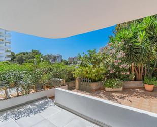 Garden of Planta baja for sale in  Palma de Mallorca  with Private garden, Terrace and Balcony