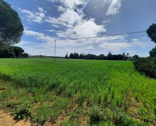 Land for sale in Conil de la Frontera
