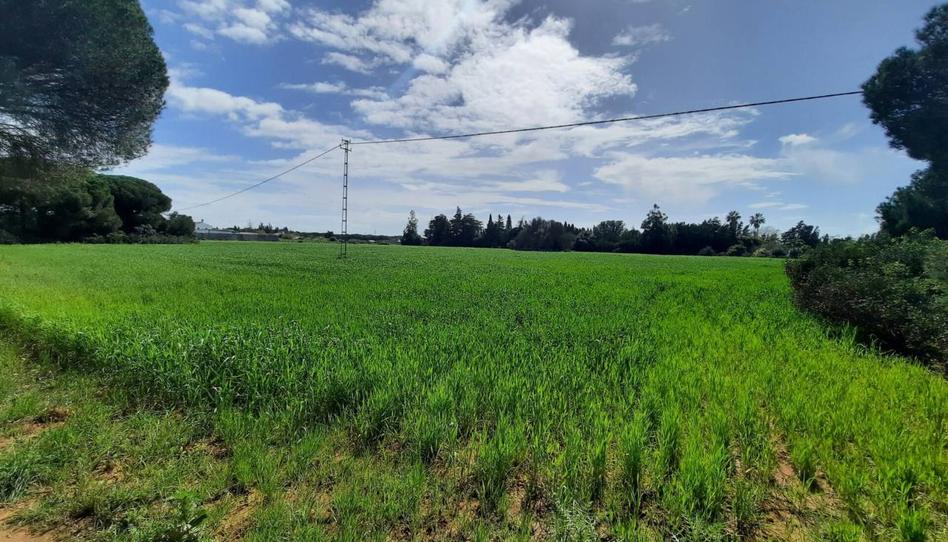 Photo 1 of Land for sale in Ruperto, 1, Roche, Cádiz