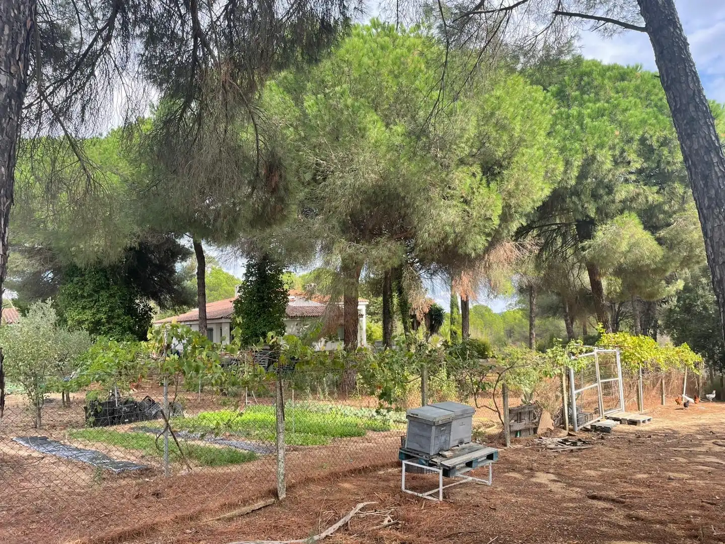 Casa en venda a Beas, imagen 17