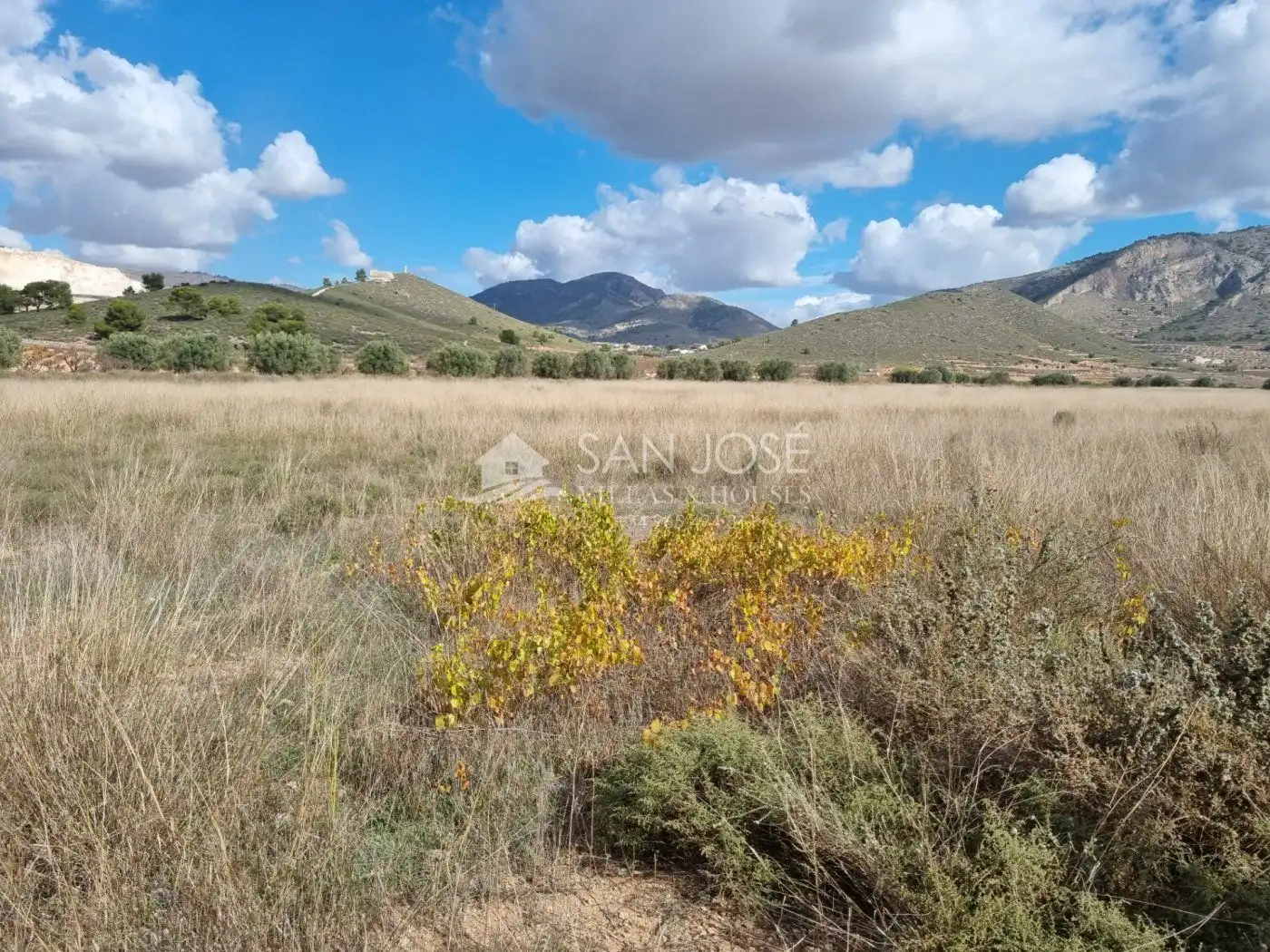 Terrenys i solars en venda a Abanilla, imagen 2
