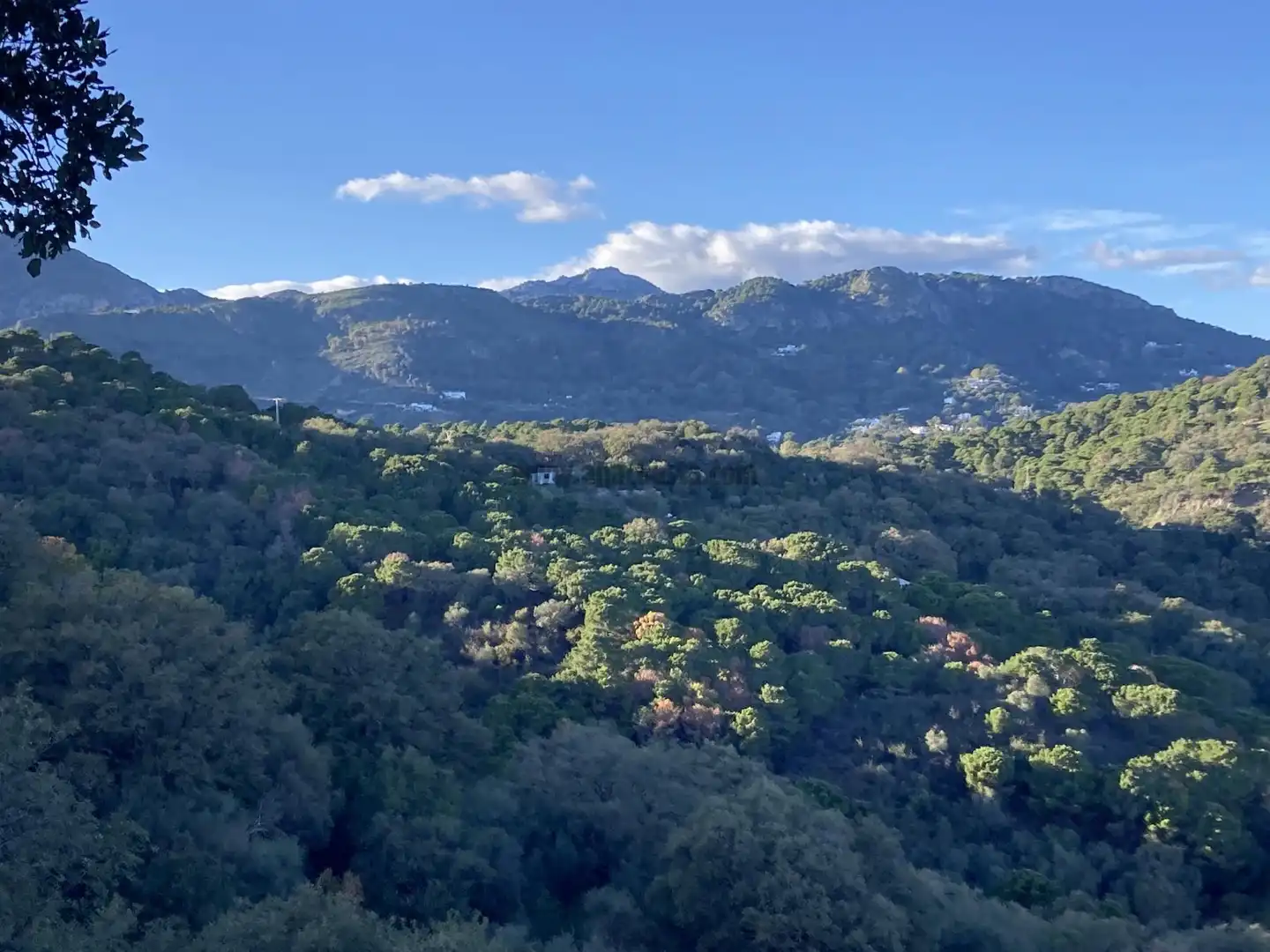 Chalet con piscina en venta en La Jordana, imagen 4