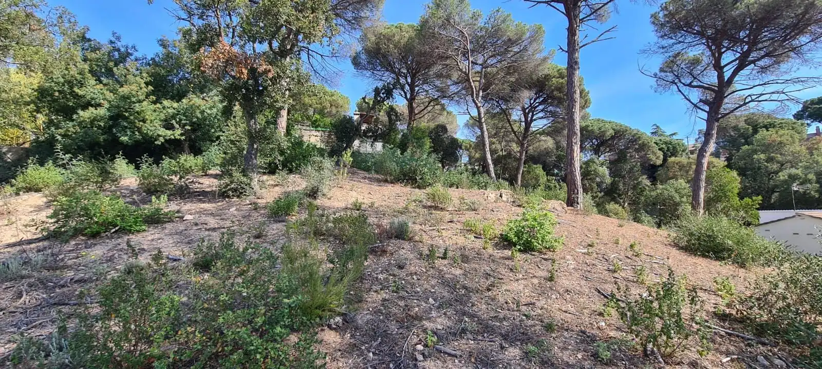 Residential land for sale in Carrer Congost, imagen 13