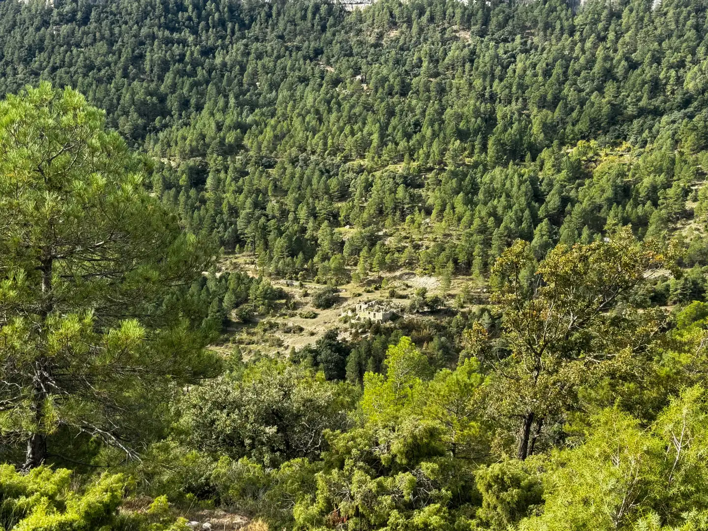 Terreni e lotti in vendita a Valderrobres, imagen 2