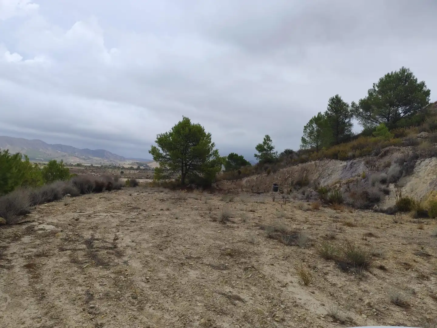 Terreno rustico in vendita a Pedanías Centro