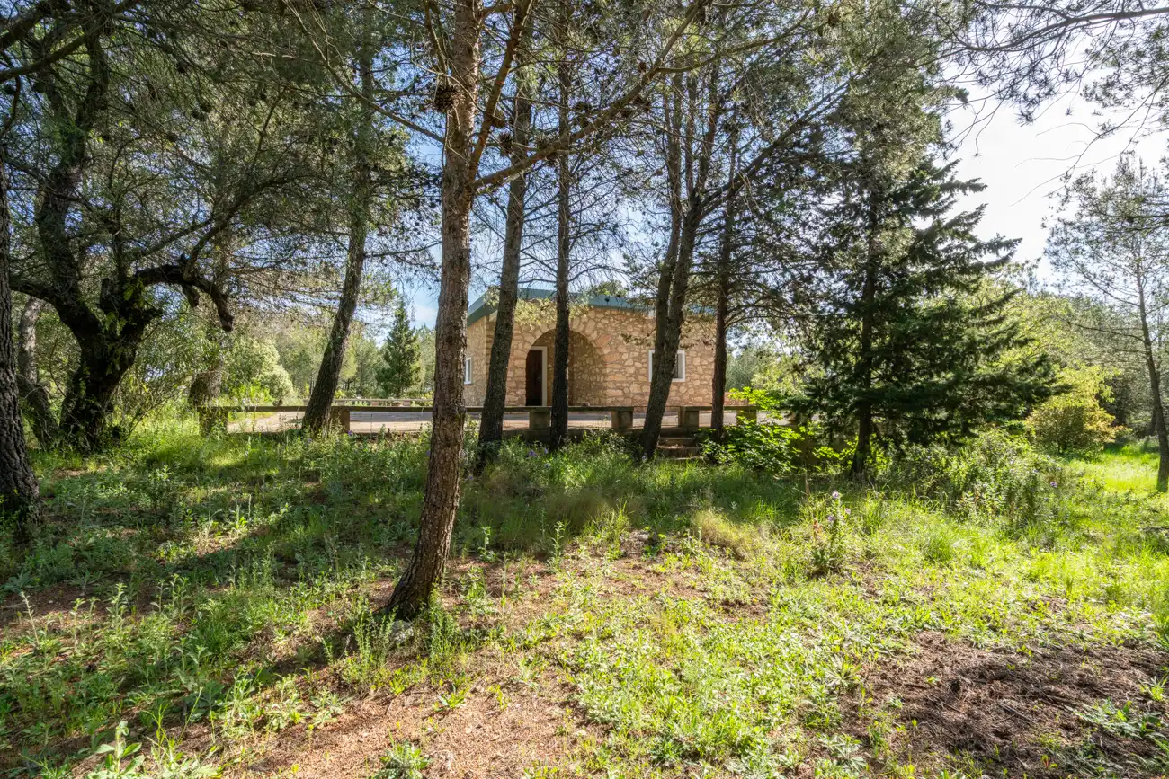 Maison rustique avec jardin à vendre à CV-590 41, imagen 36