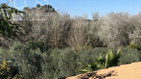 Foto 5 de Finca rústica en venda a Pilas, Sevilla