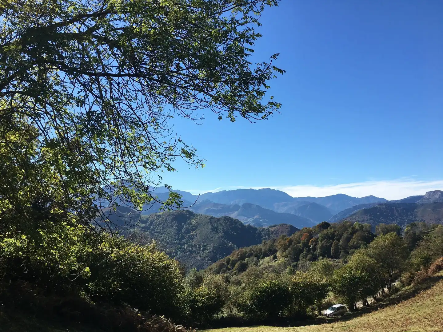 Terreno rustico in vendita a Cangas de Onís, imagen 9
