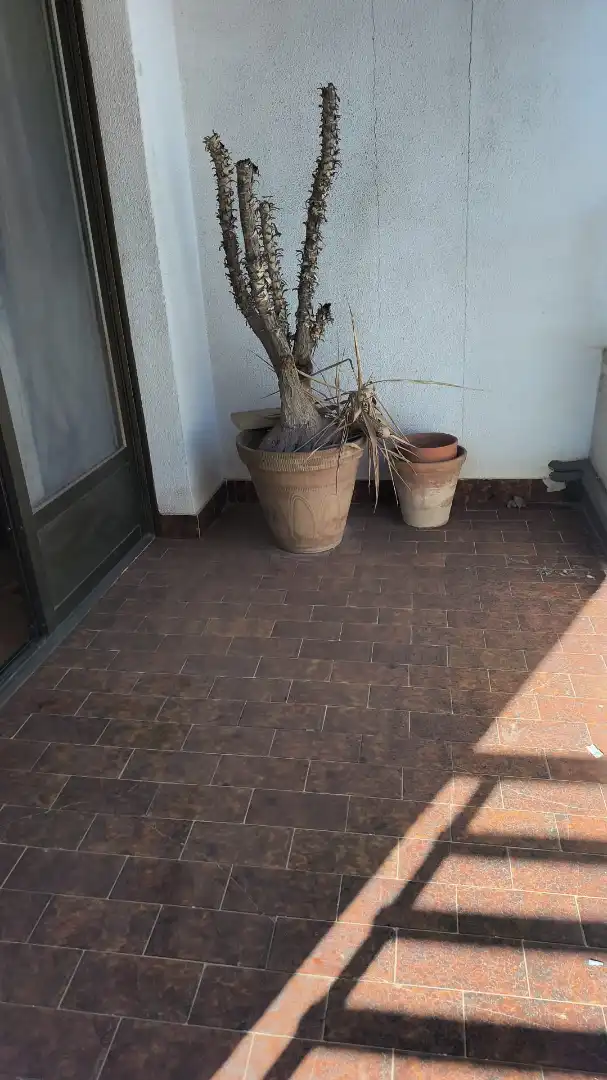 Terrace of Flat for sale in Iniesta  with Heating, Terrace and Storage room