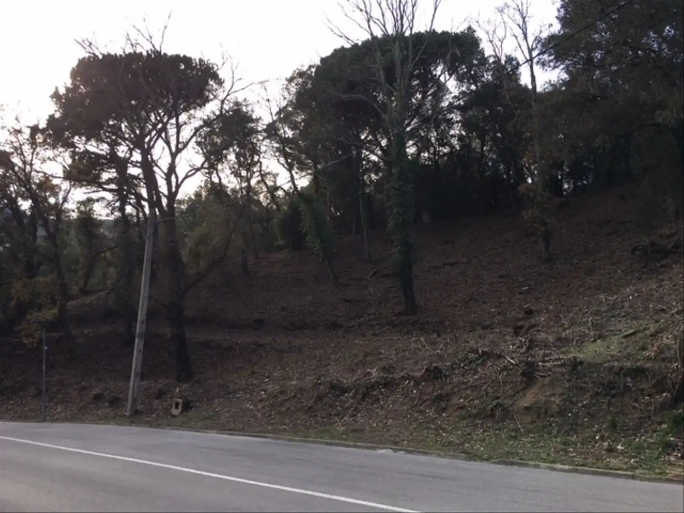 Terreno residencial en venta en Vallgorguina, imagen 13