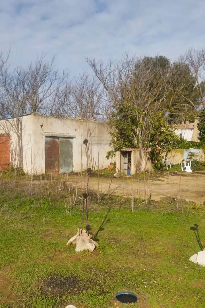 Houses for sale in Albacete  with Private garden