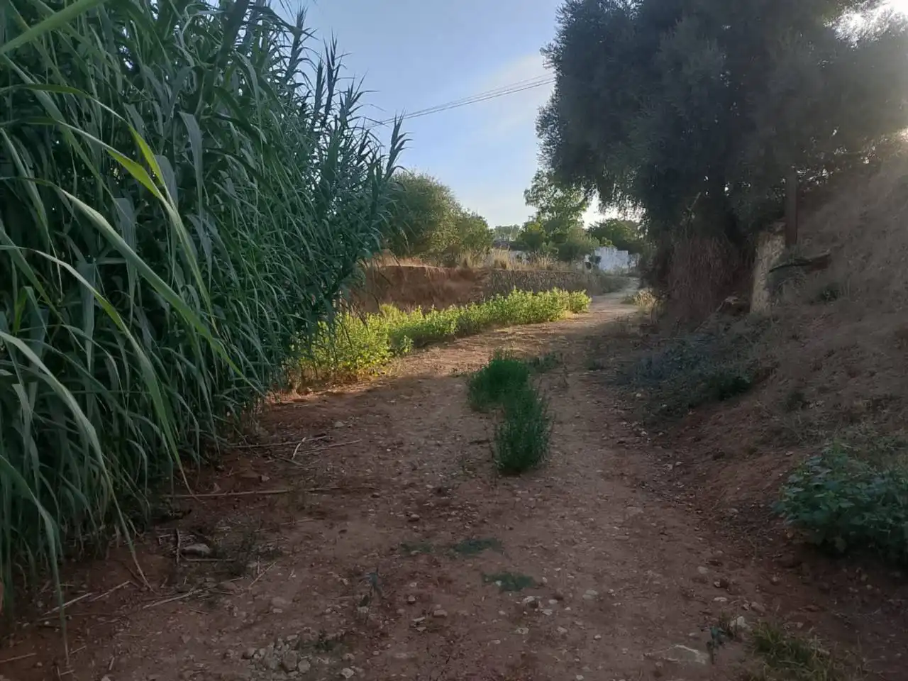 Terrain rustique à vendre à Camino Puça 1, imagen 12