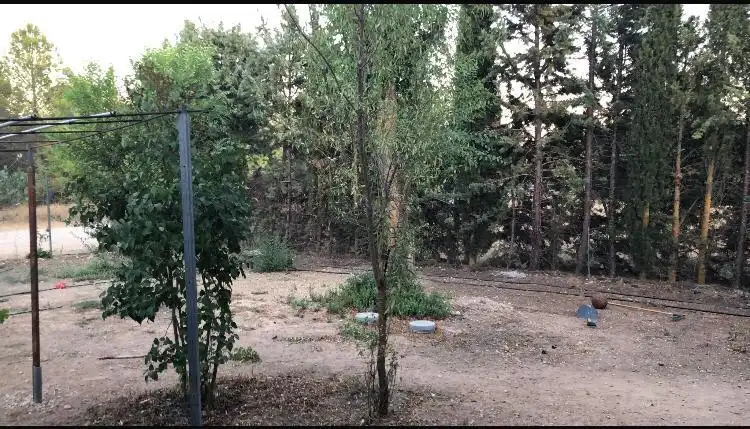 Casa amb jardí en venda a Del Guindo, imagen 5