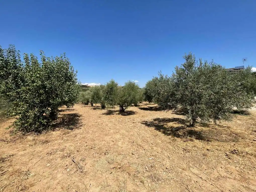 Terreno en venta en Pueyo / Puiu