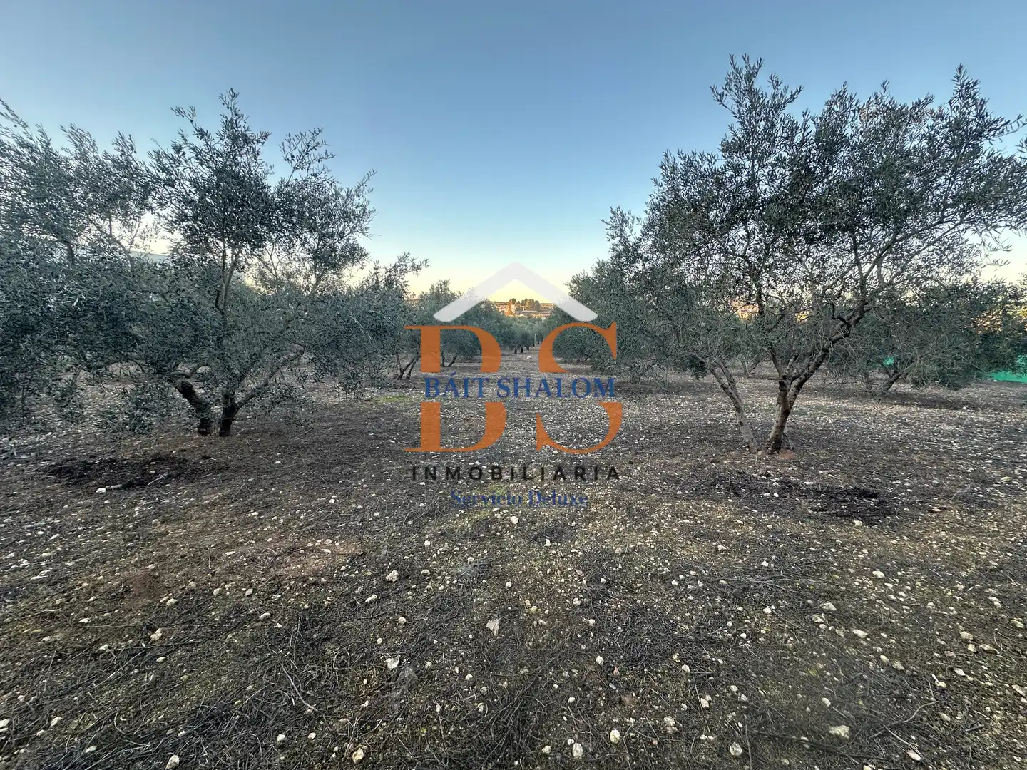Rural land for sale in Mollina, imagen 6