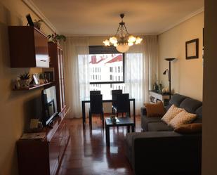 Sala d'estar de Apartament en venda en Burgos Capital amb Calefacció, Parquet i Terrassa