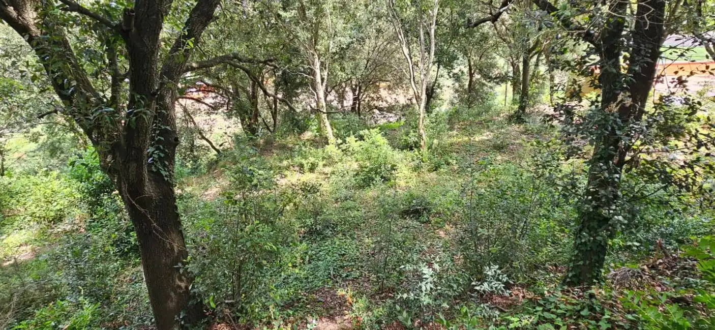 Terreny residencial en venda a Sa Riera - Sa Fontansa, imagen 9
