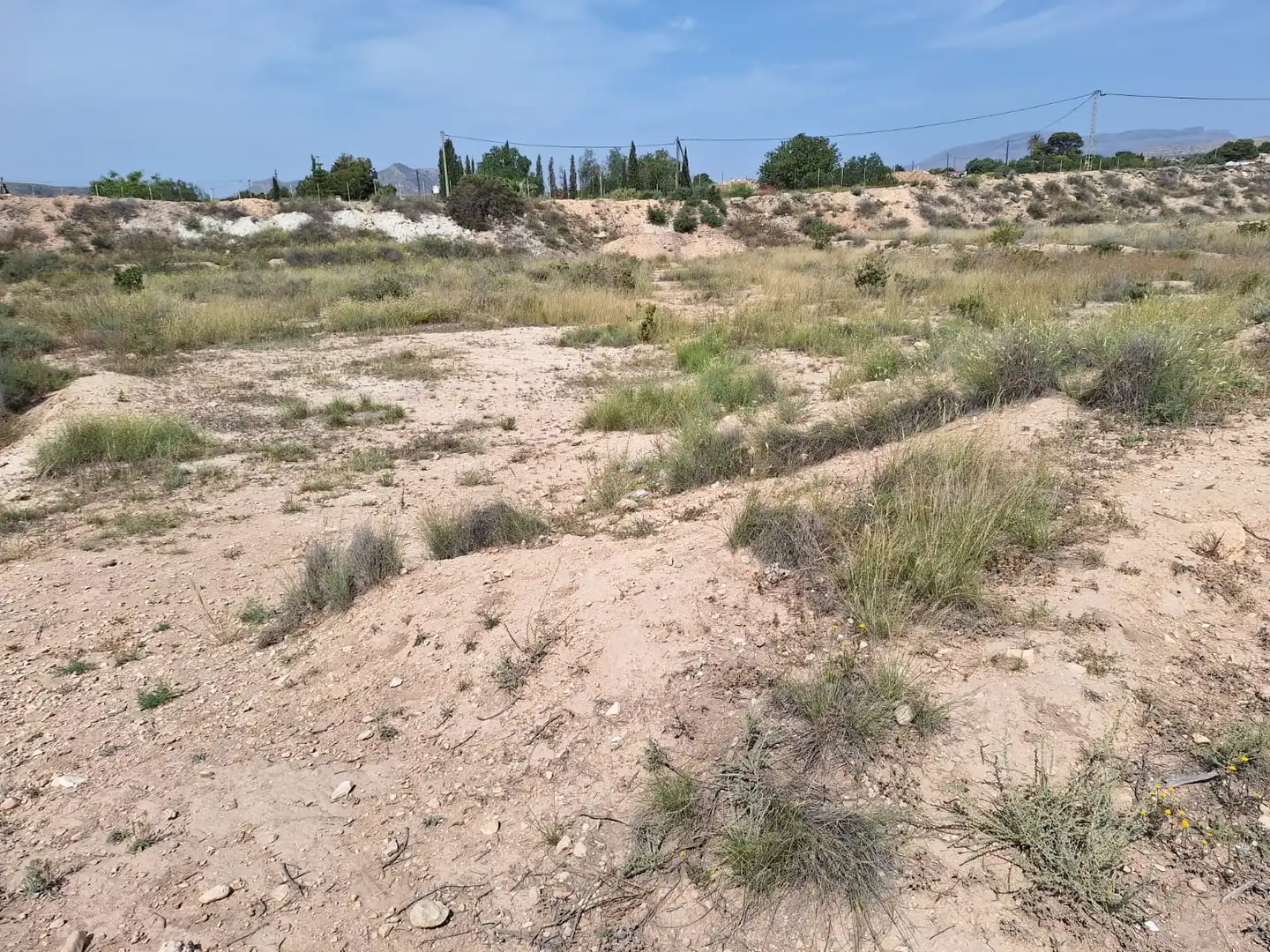 Terreny rústic en venda a Carretera Agost-Urbs 28B, imagen 5
