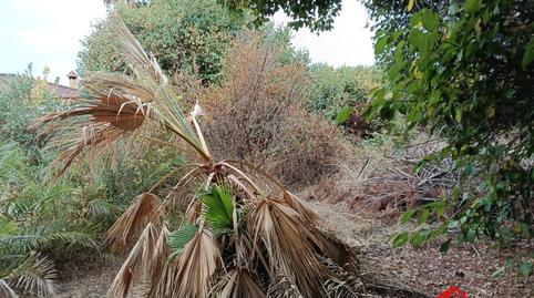Photo 4 of Country house for sale in El Higuerón,  Córdoba Capital