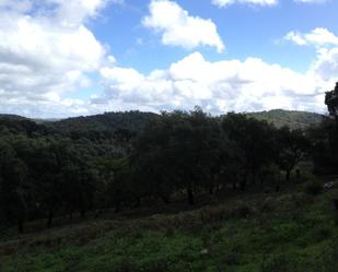 Finca rústica en venda a Cortegana