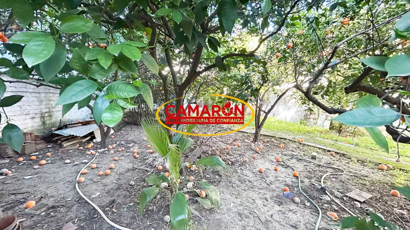 Garden of Residential for sale in Tomares