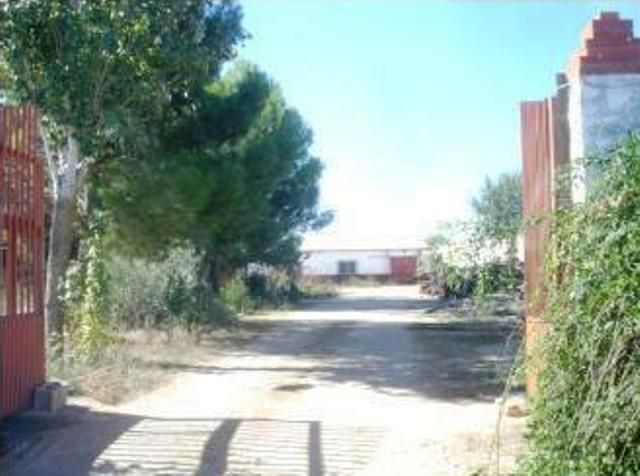Industrial buildings for sale in Moral de Calatrava