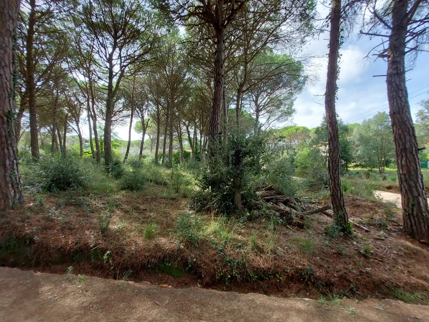Terreny residencial en venda a Urbanitzacio de Can Reixac de Solius, imagen 2