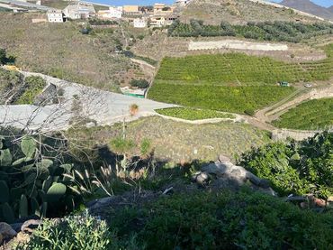 Terreno residenziale in vendita a La Aldea de San Nicolás