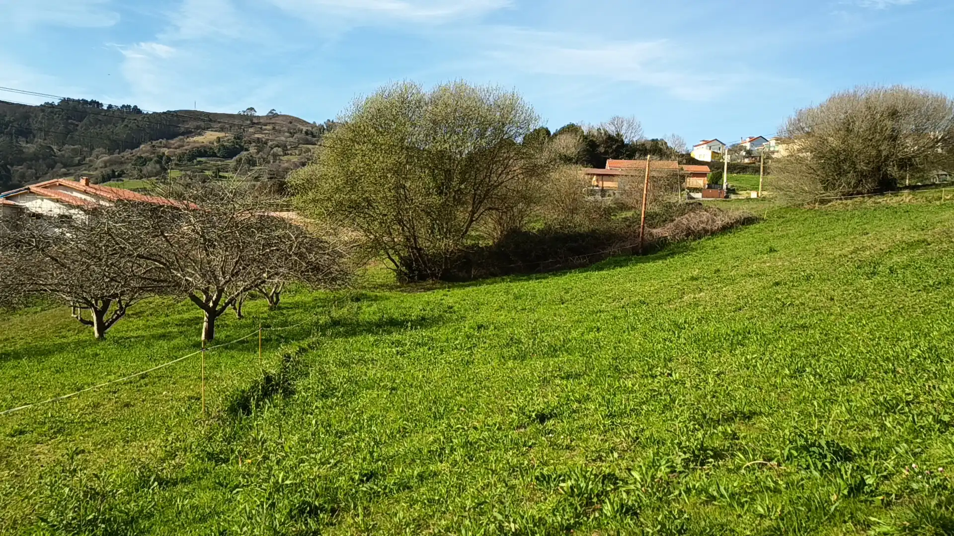 Grundstücke und Bauplätze zum Verkauf in La Peral, imagen 5