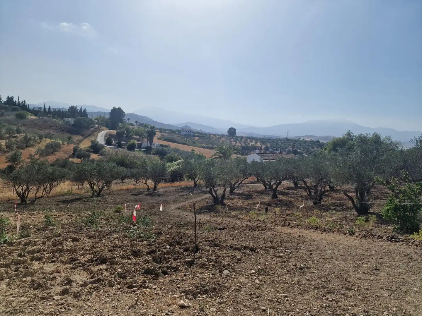 Terreni e lotti in vendita a Coín, imagen 22