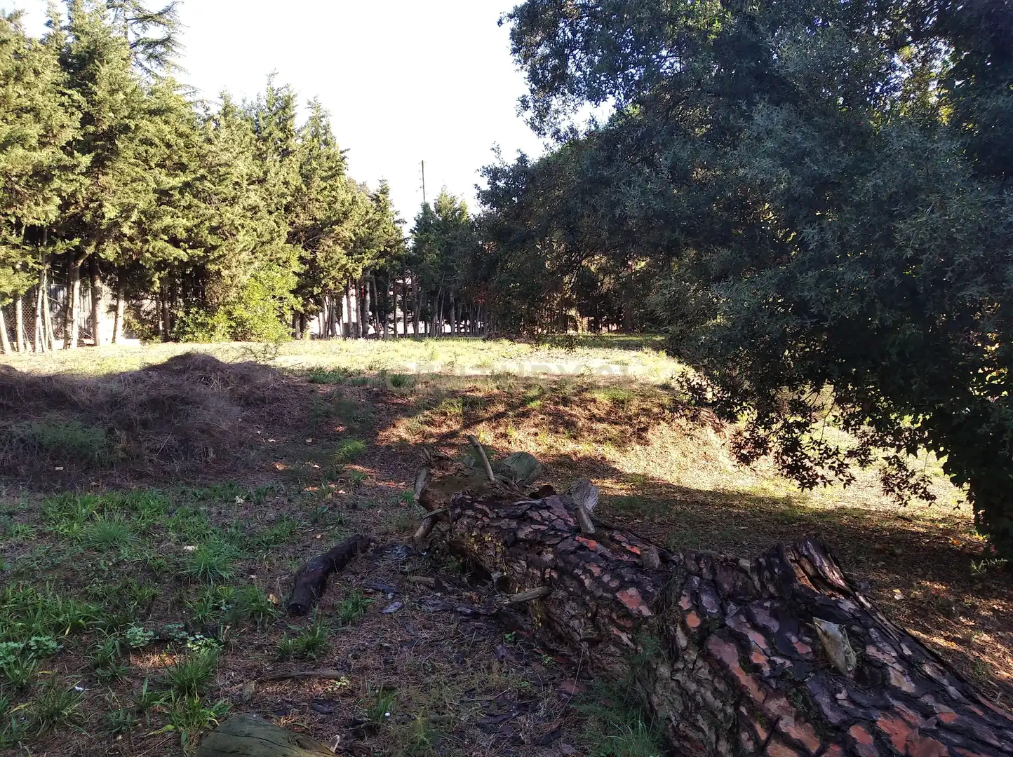 Residential land for sale in Carrer del Llinars, 6, Sant Pere de Vilamajor, Spain 6, imagen 14