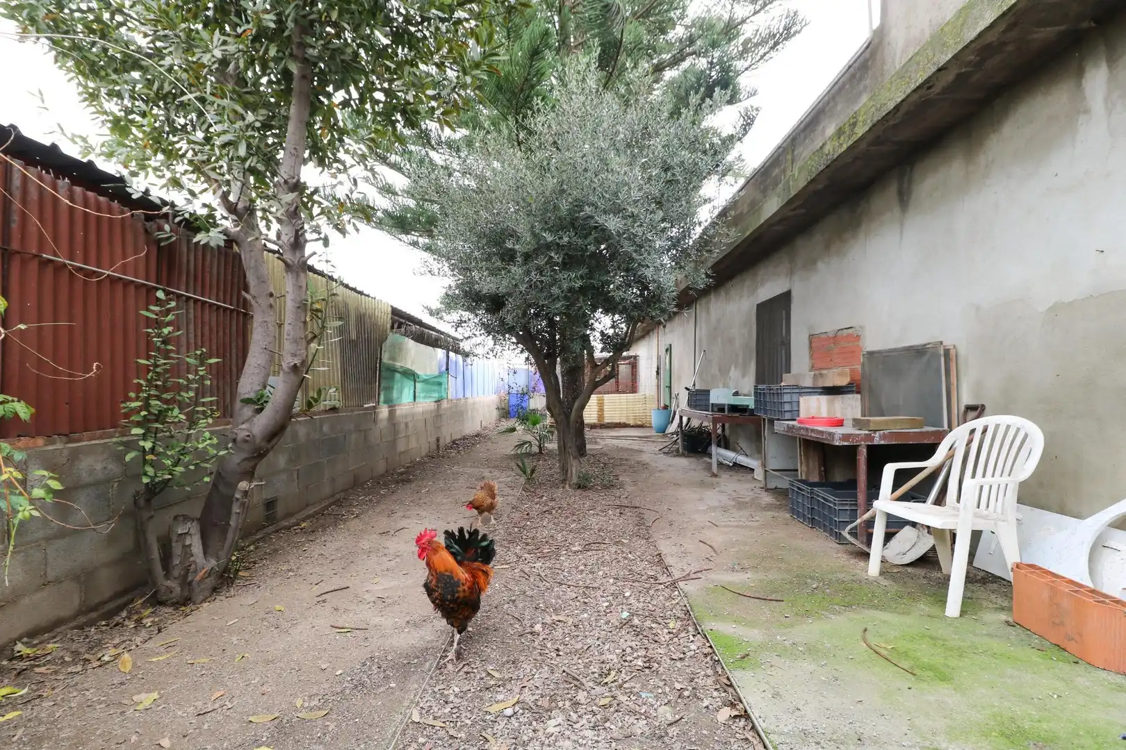 Garden of Country homes for sale in Sant Boi de Llobregat  with Private garden, Terrace and Storage room