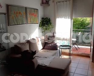 Sala d'estar de Pis en venda en Sant Quirze de Besora amb Balcó