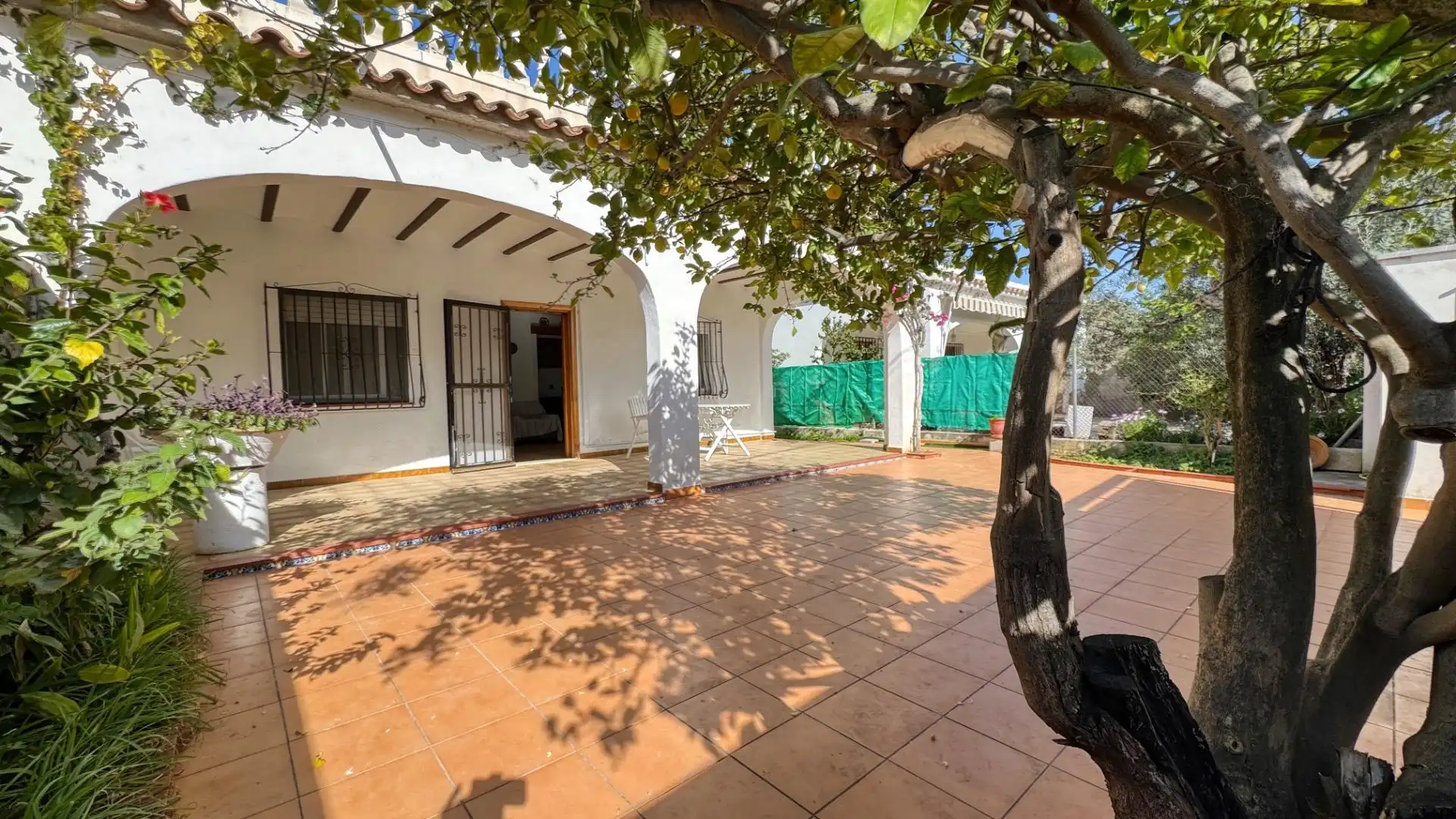 Haus zum Verkauf in Oliva Nova, imagen 5