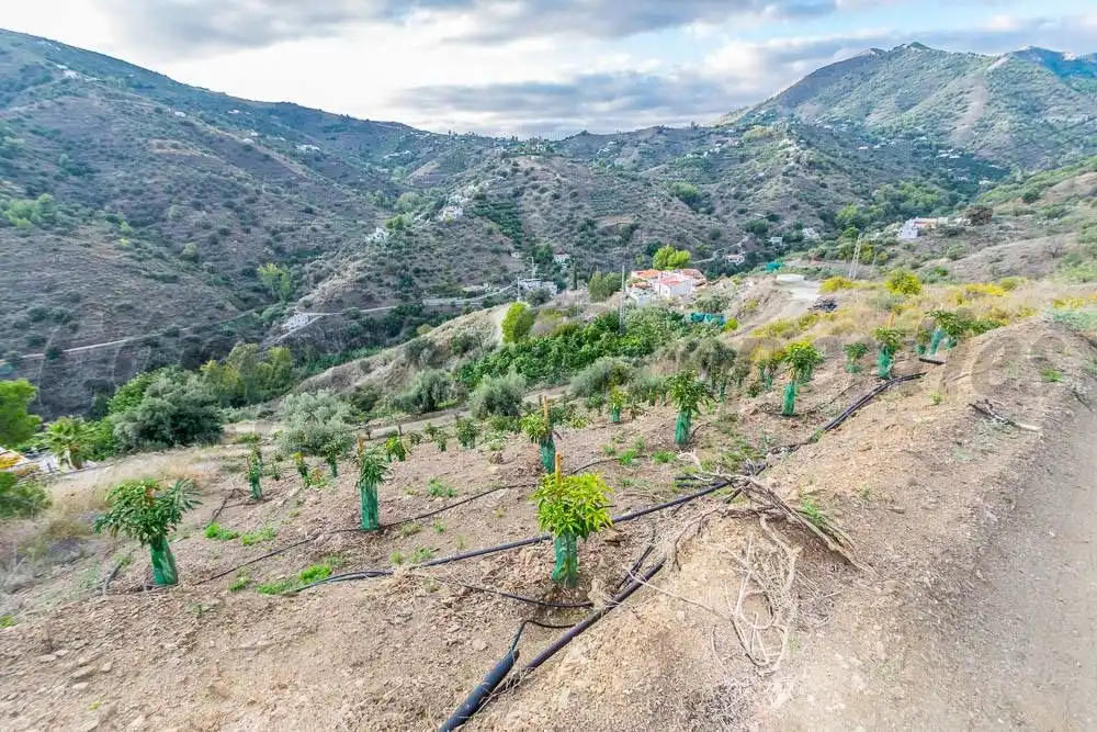 Rustikales Grundstück zum Verkauf in Torrox Pueblo, imagen 13