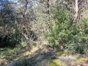 Country homes for sale in Santa Maria d'Oló