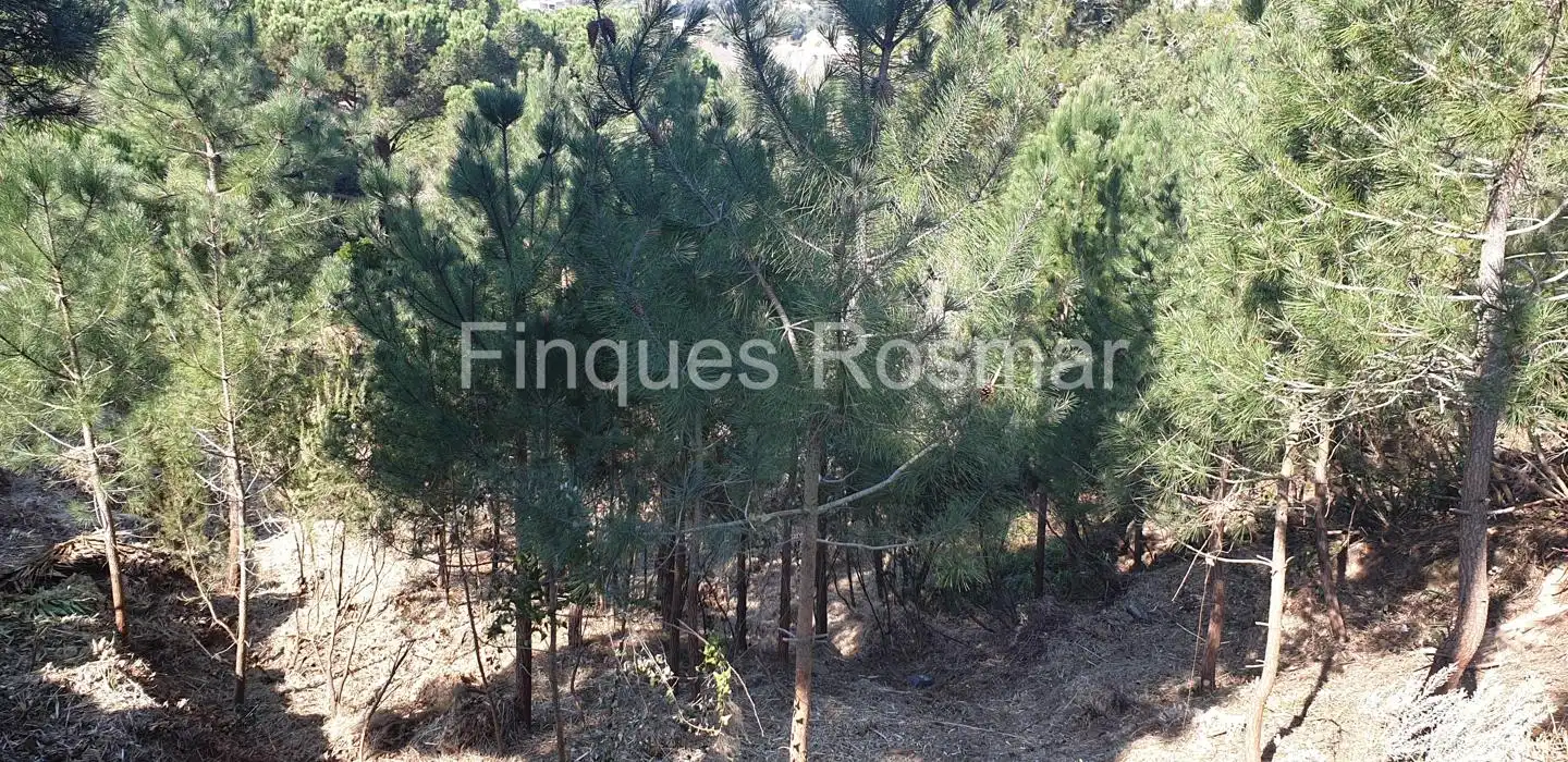 Grundstücke und Bauplätze zum Verkauf in Lloret Residencial - Montlloret, imagen 11
