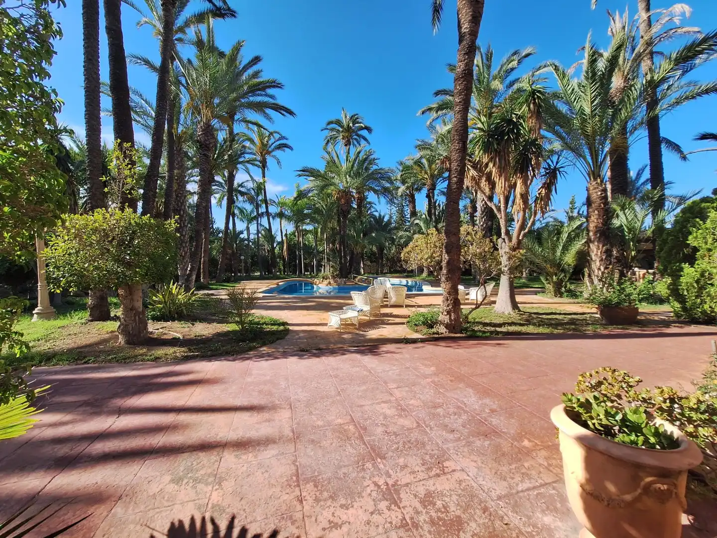 Jardín de Casa o chalet en venta en Elche / Elx