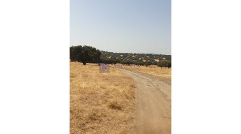 FINCA GANADERA DE UNAS 600 HECTÁREAS EN LA ZONA DE ALCUÉSCAR, imatge 5