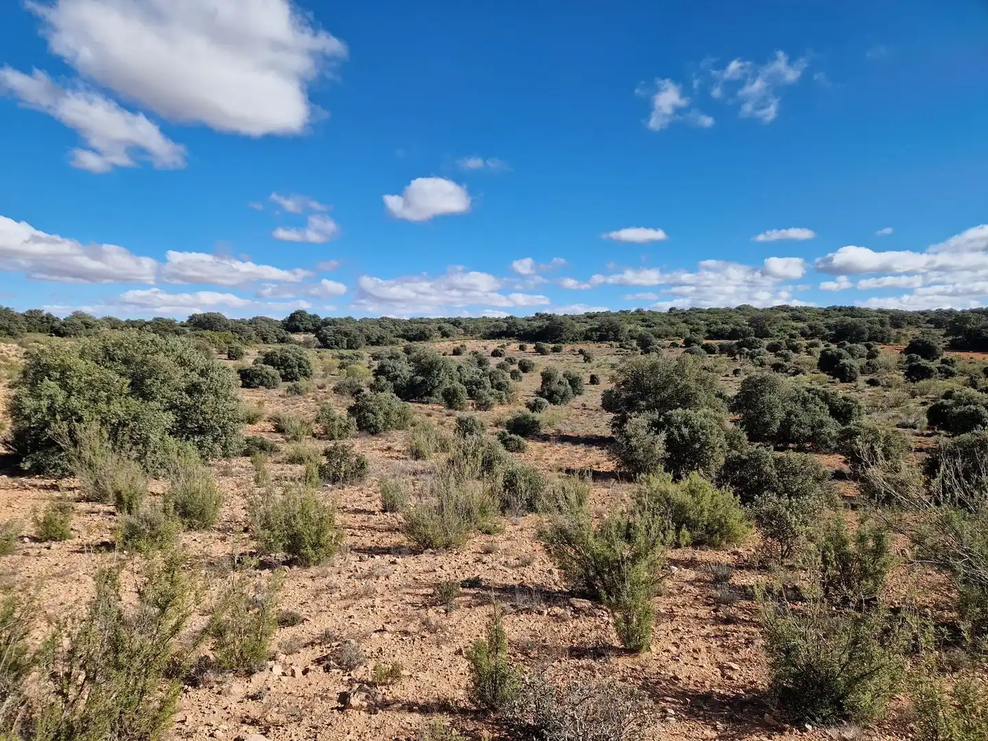 Rural land for sale in Pantano de Peñarroya 0, imagen 43