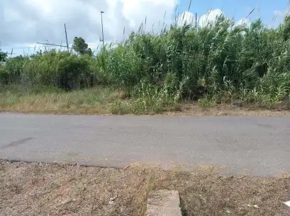 Terreny rústic en venda a PT 26-SU-R, imagen 10