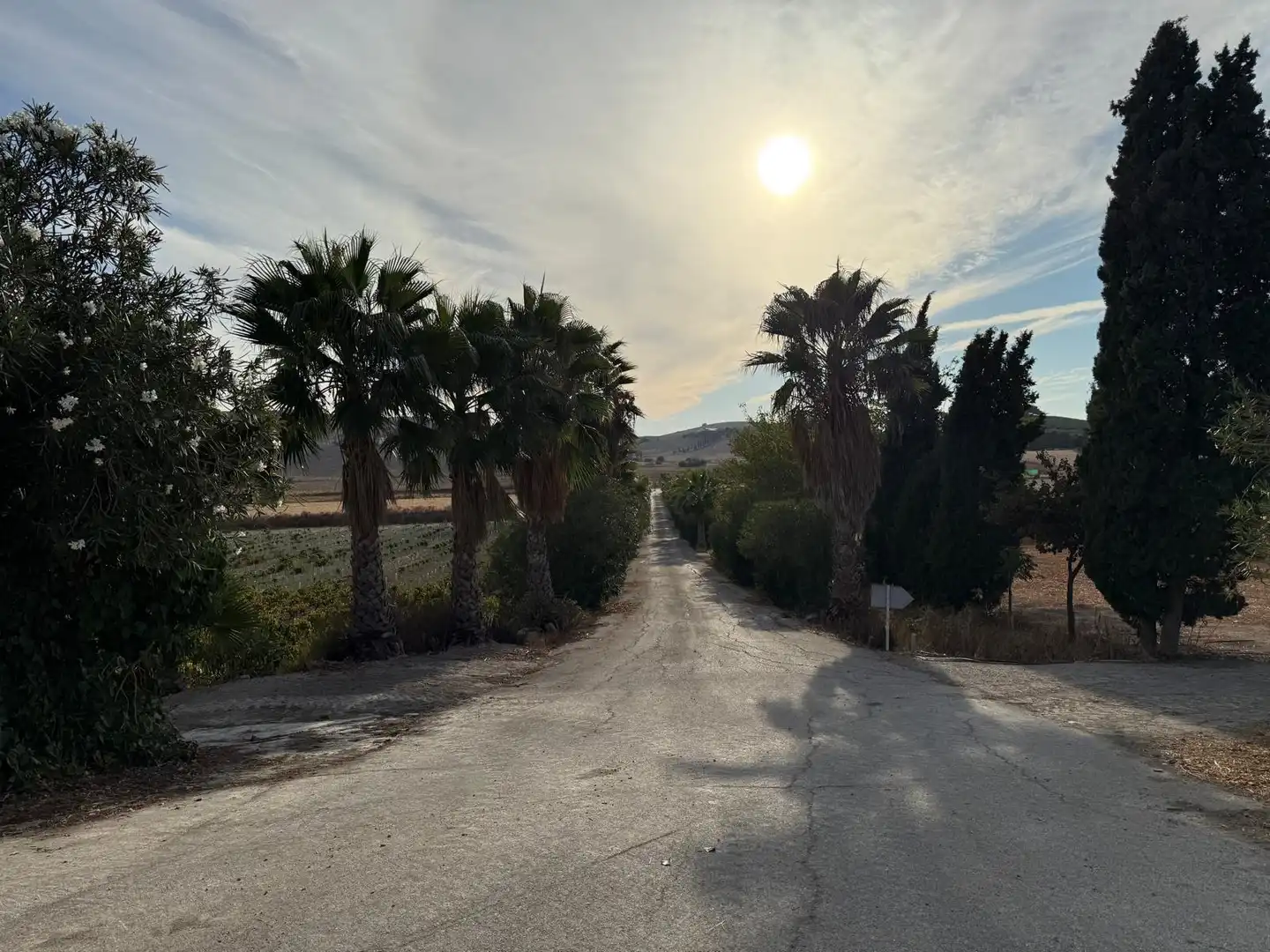 Local comercial en venta en Jerez Sur