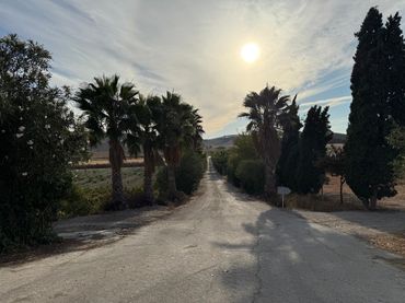 Local comercial en venta en Jerez Sur