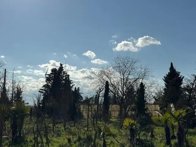Finca rústica en venta en Coreses