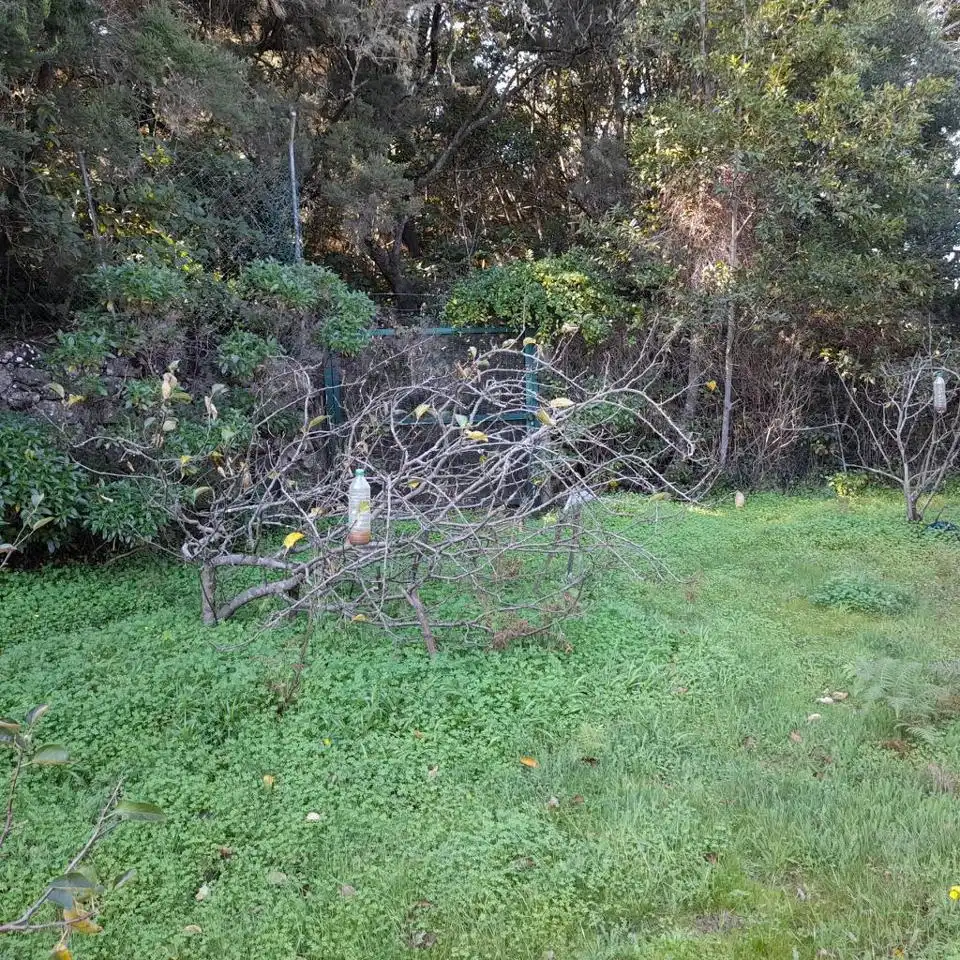 Rural land for sale in Hoya De Manzaneros, imagen 9