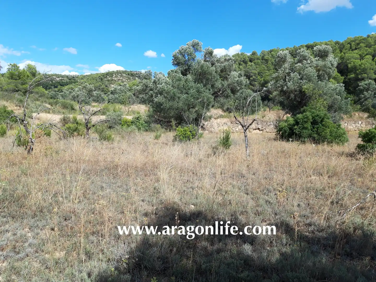 Finca rústica en venta en Fabara