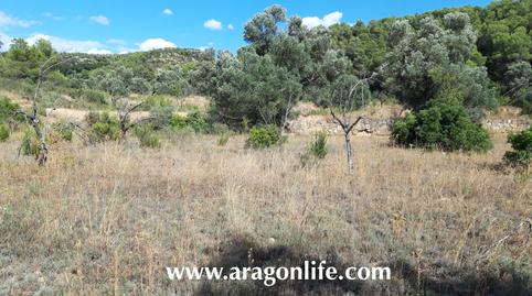 Photo 5 of Country house for sale in N/a, Fabara, Zaragoza