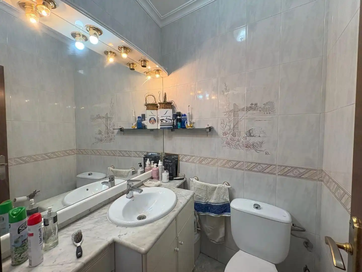 Baño de Casa o chalet en venta en Morón de la Frontera