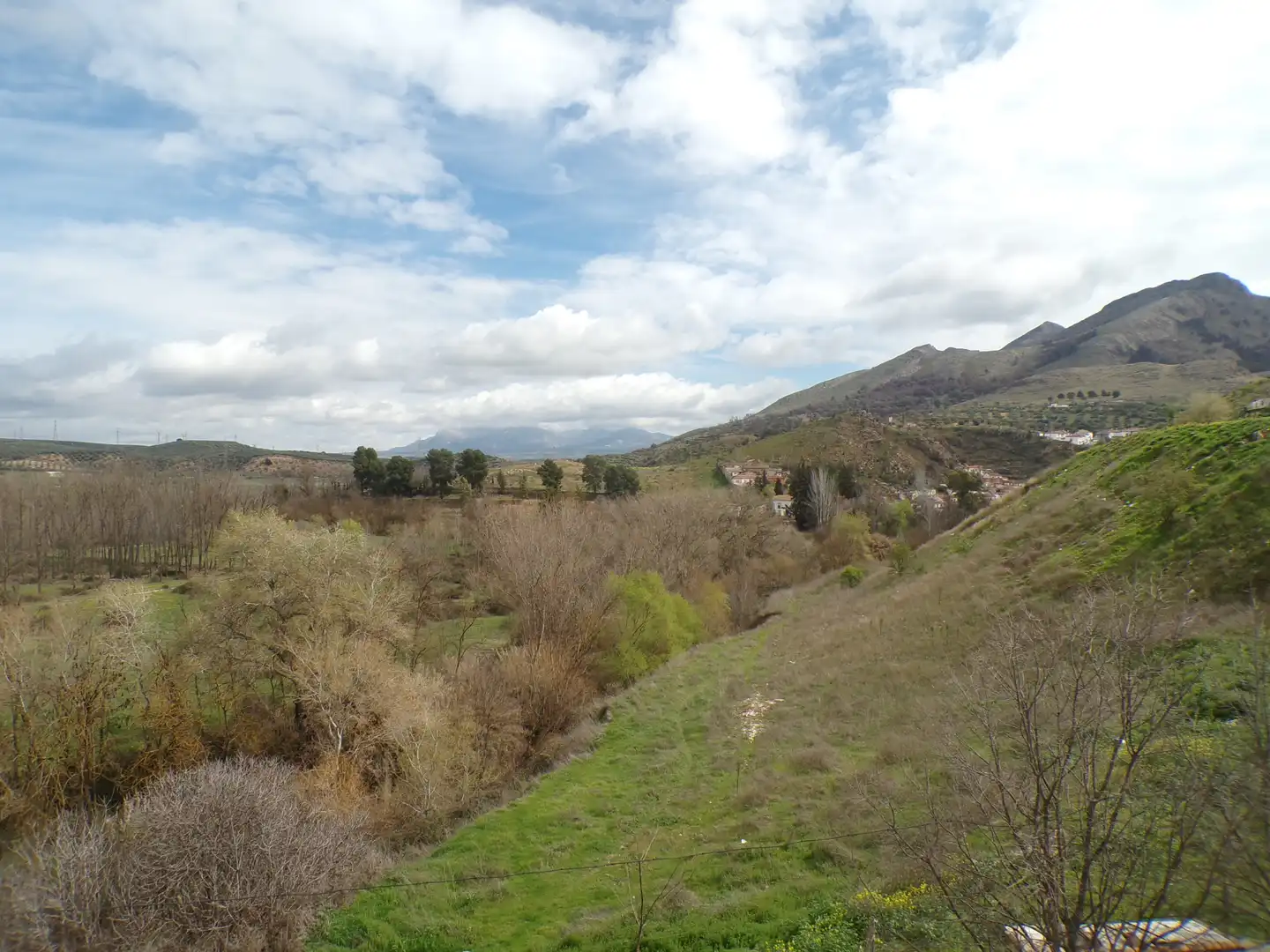 Terreno industrial en venta en Pinos Puente, imagen 11